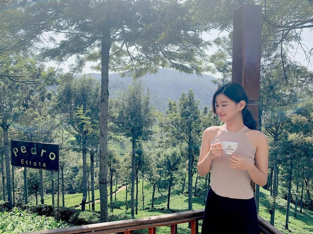 girl drink a cup of tea at pedro tea estate 