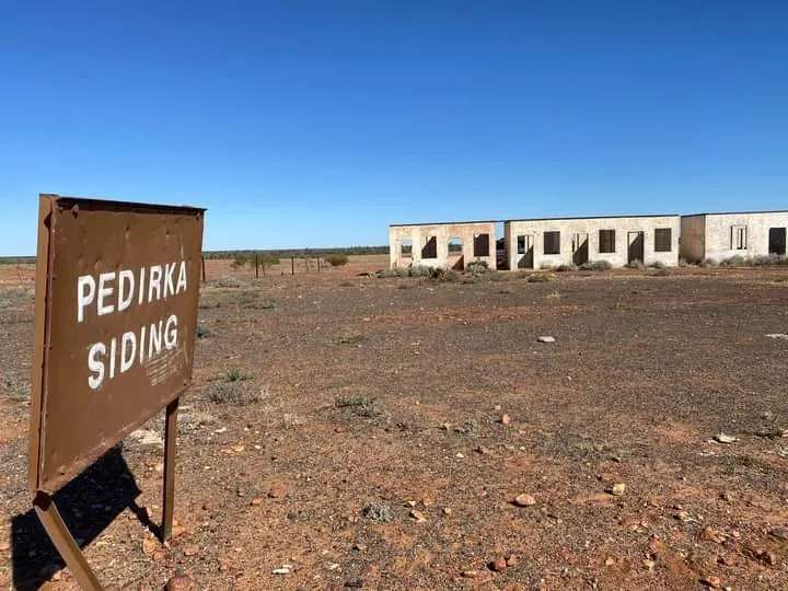 Pedirka Desert in South Australian desert with red sand and Mulga woodlands