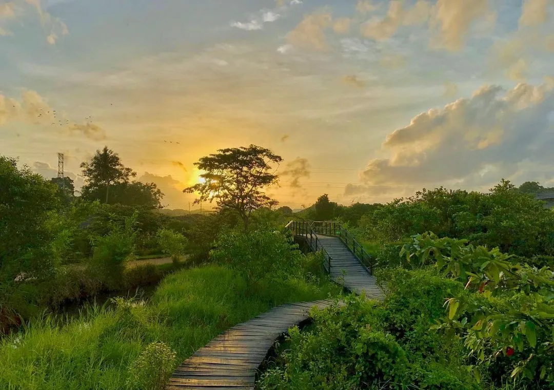 Diyasaru Park in Sri Jayawardenepura, Sri Lanka