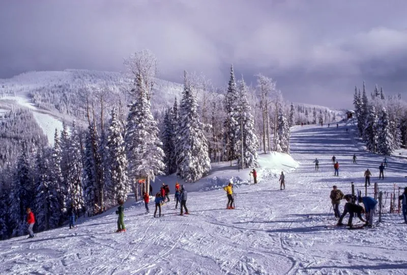 Go Skiing in Tennessee