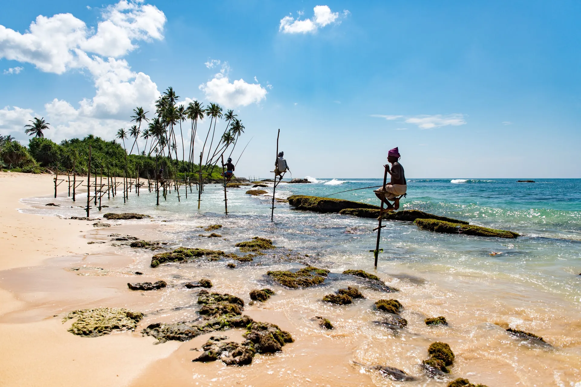 Mirissa Beach, Mirissa, Sri Lanka