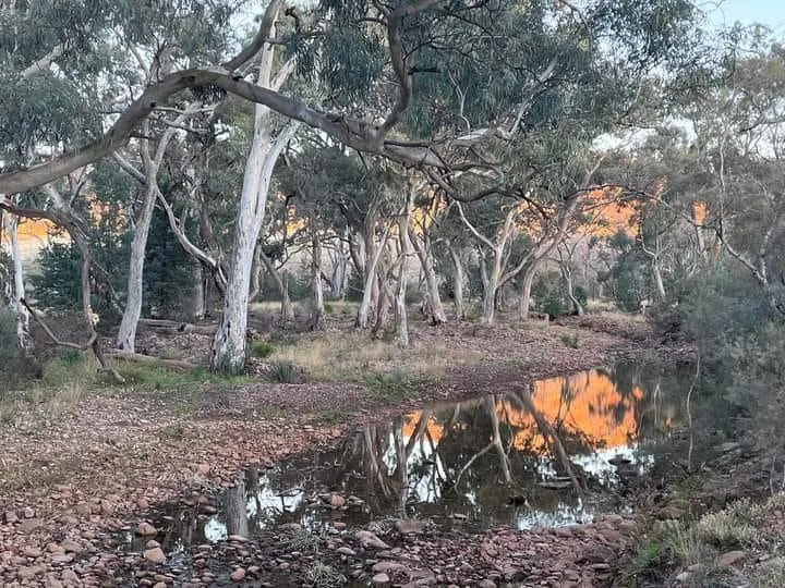 The Sturt Stony Desert in South Australia