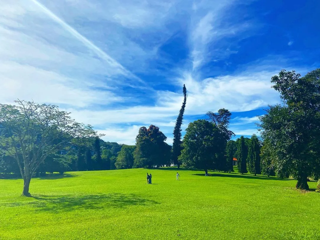 peradeniya botanical garden