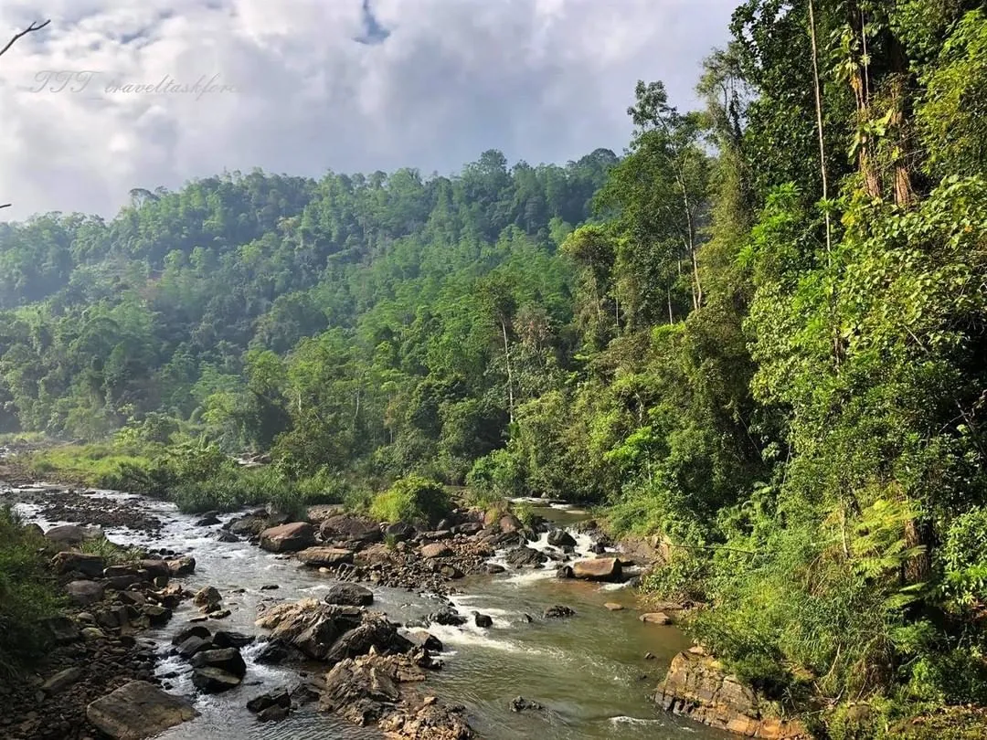View of Sinharaja Forest Reserve