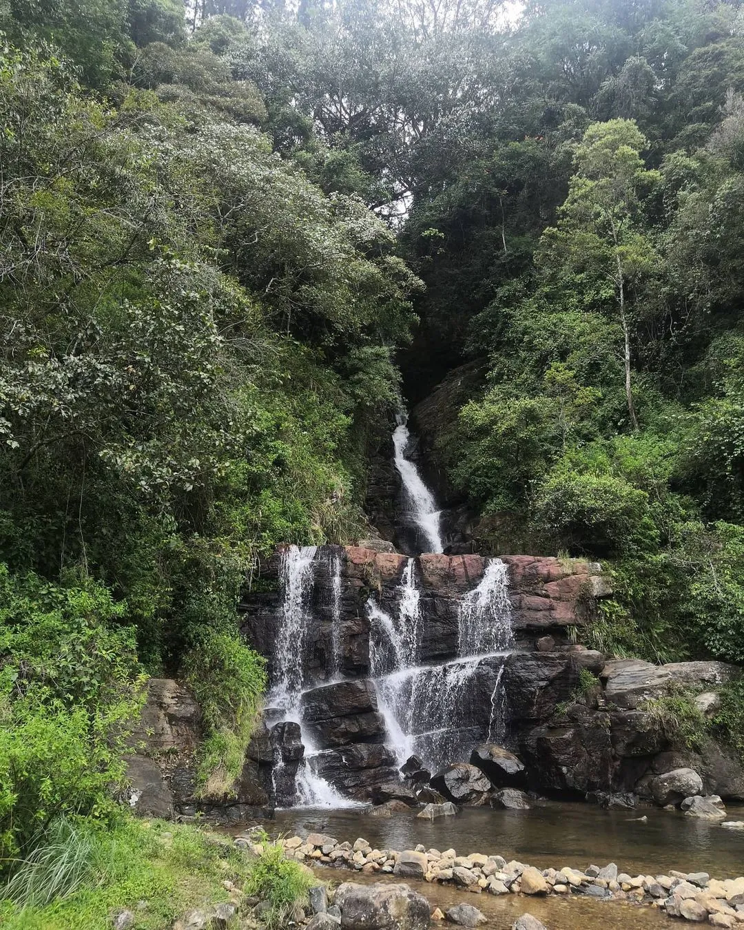 Best time to visit Knuckles Forest Reserve