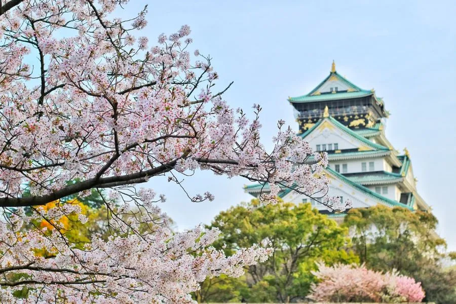 10 Things to Know Before You Go To Japan 2022