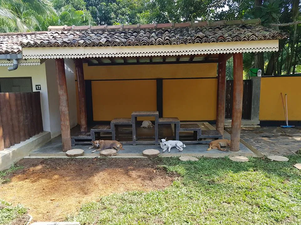 Dog Care Clinic at Unawatuna