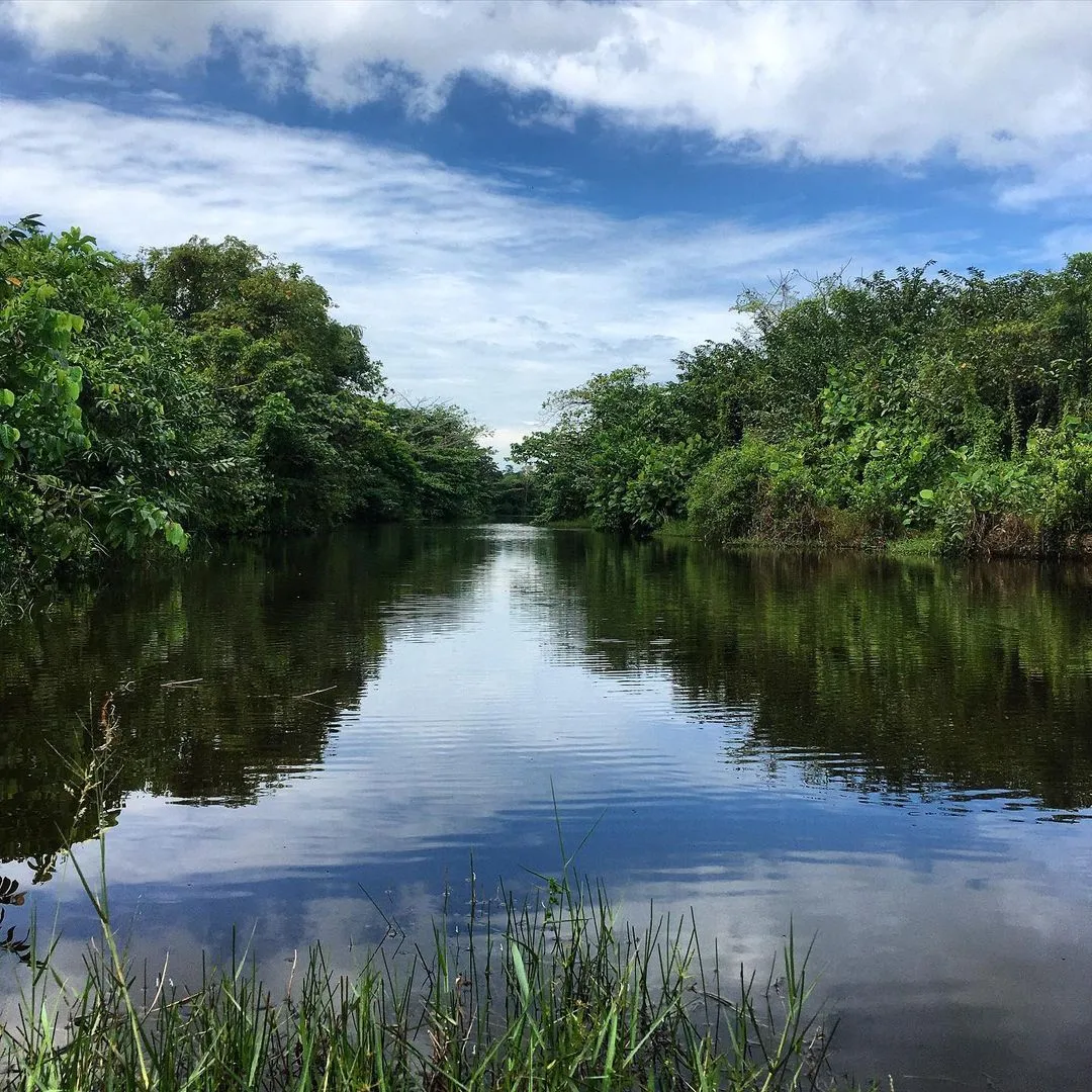 Dedduwa Lake benthota