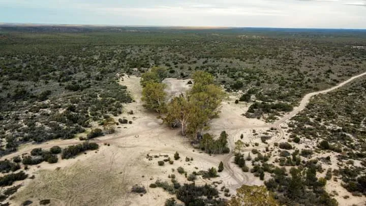 The Little Sandy Desert in west of the Gibson Desert