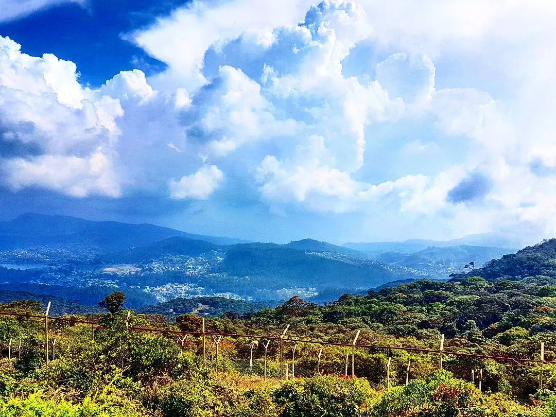 view from pidurutalagala mountain