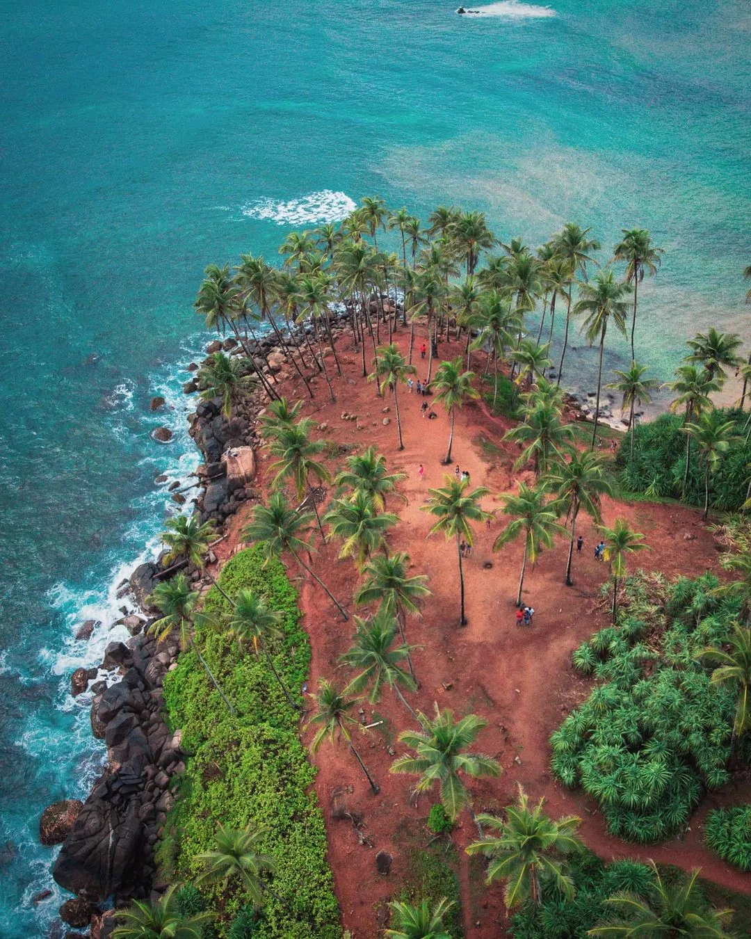 Coconut Tree Hill in Mirissa