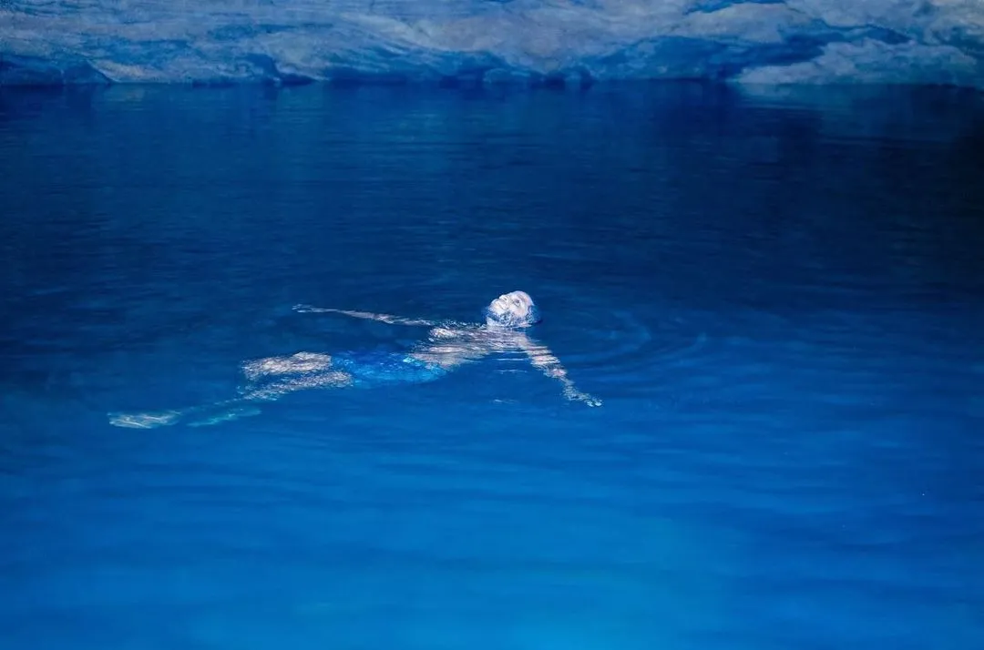diving at Nildiya Pokuna