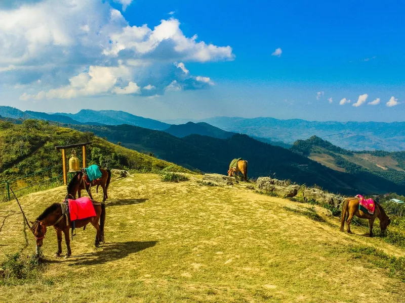 Chiang Rai