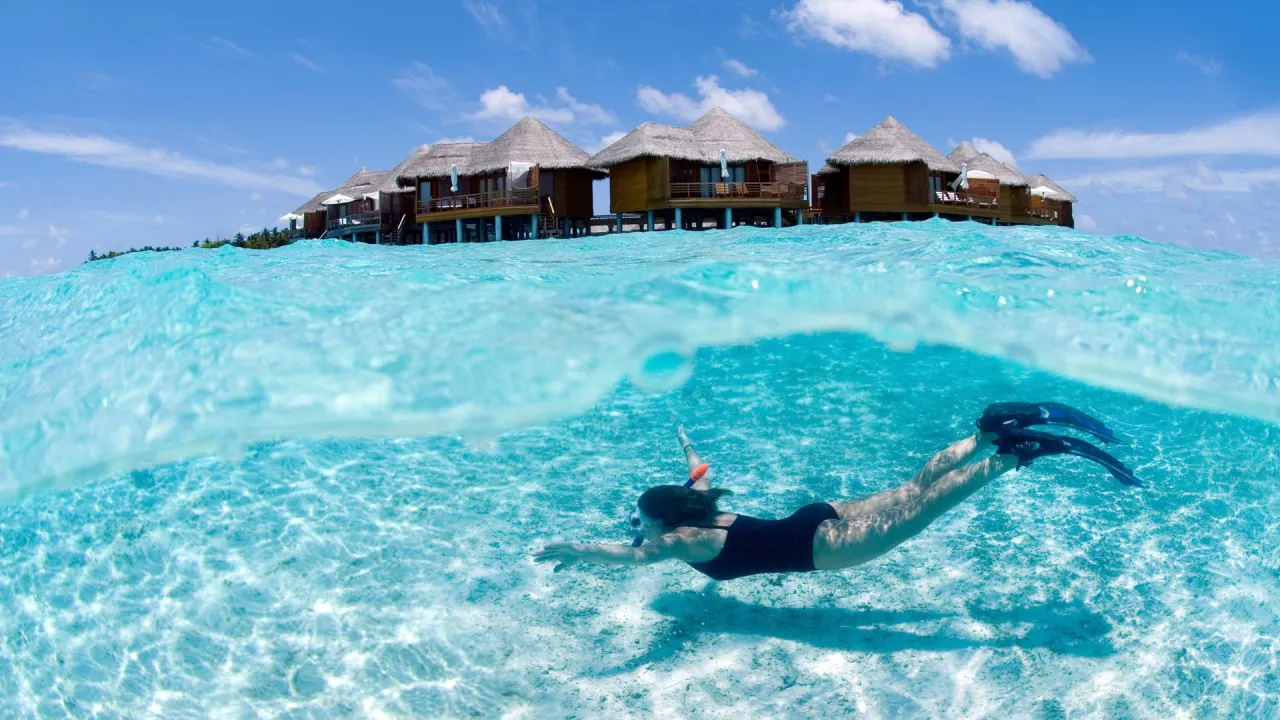 Scuba Diving in the Maldives