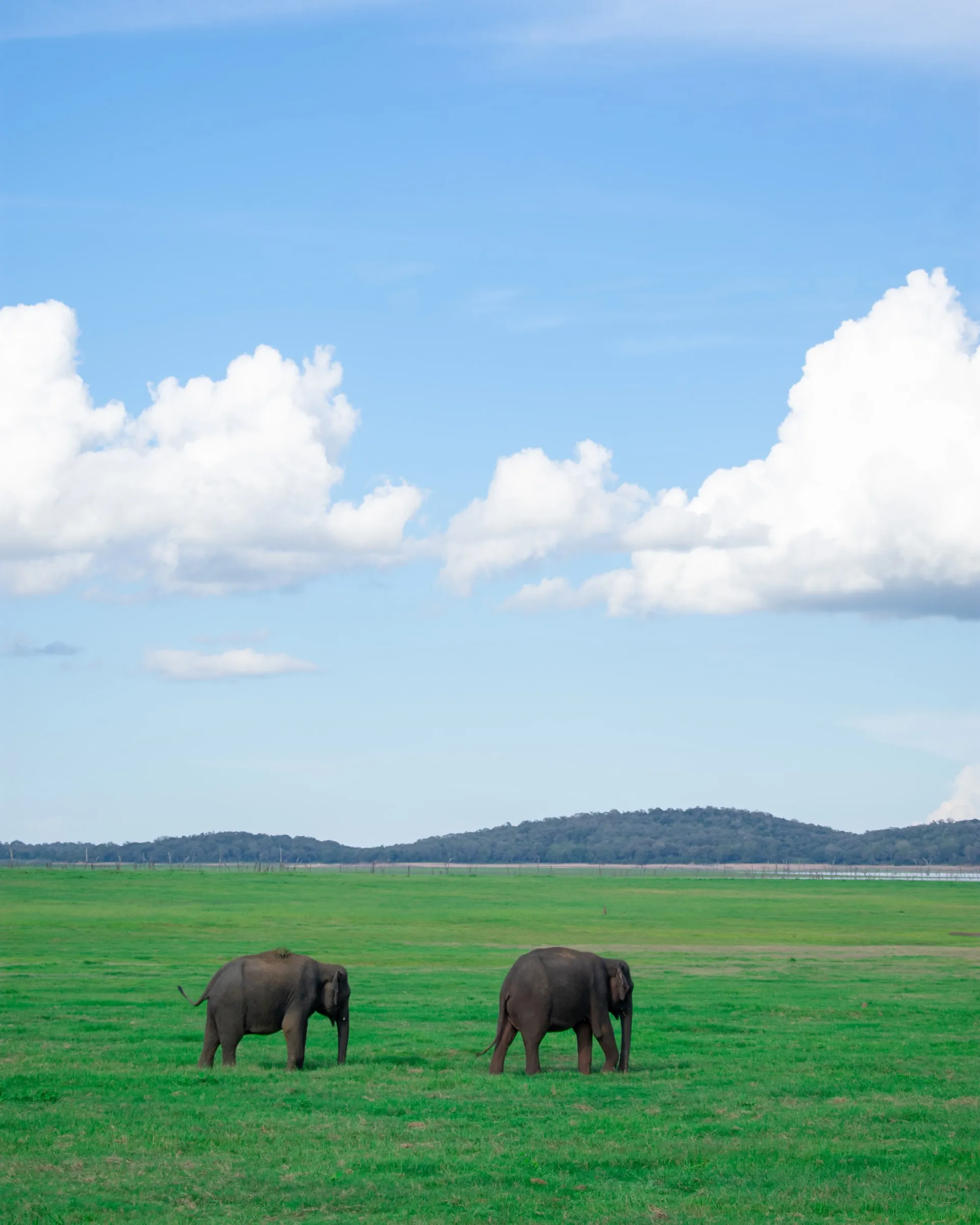 Wasgamuwa National Park