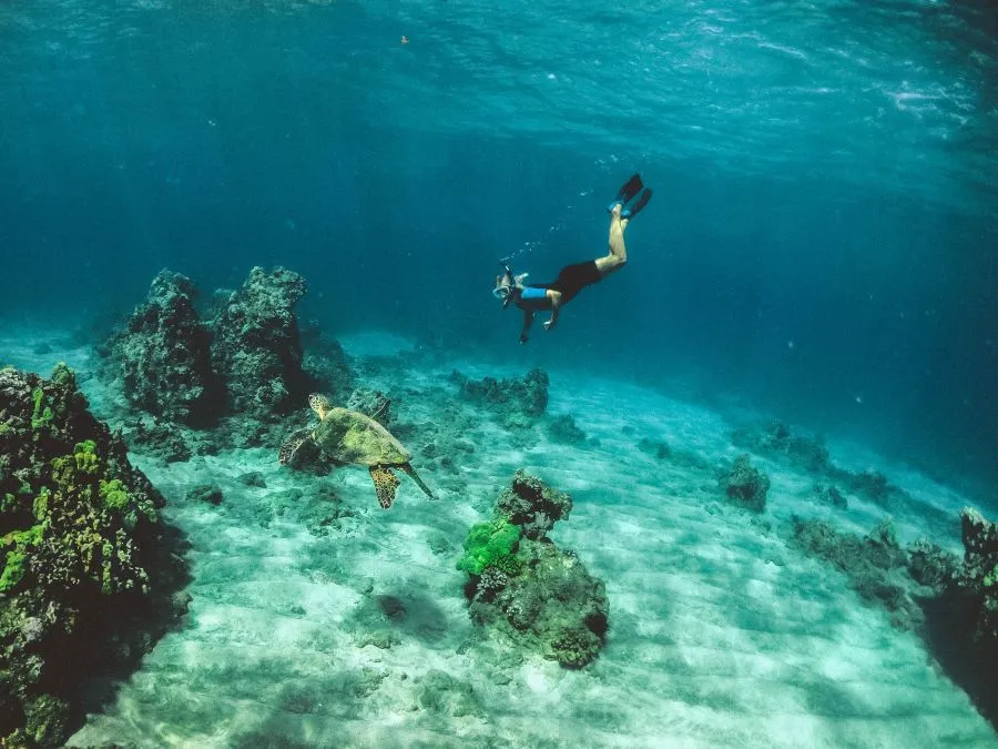 Underwater diving in Maui, Hawaii, USA