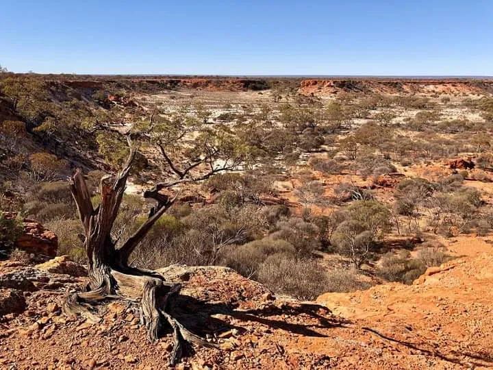 The Great Victoria Desert, Australia's largest desert