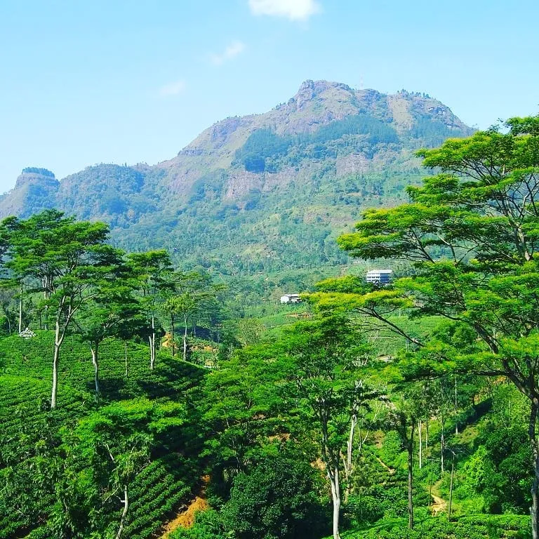 pidurutalagala mountain in nuwara eliya