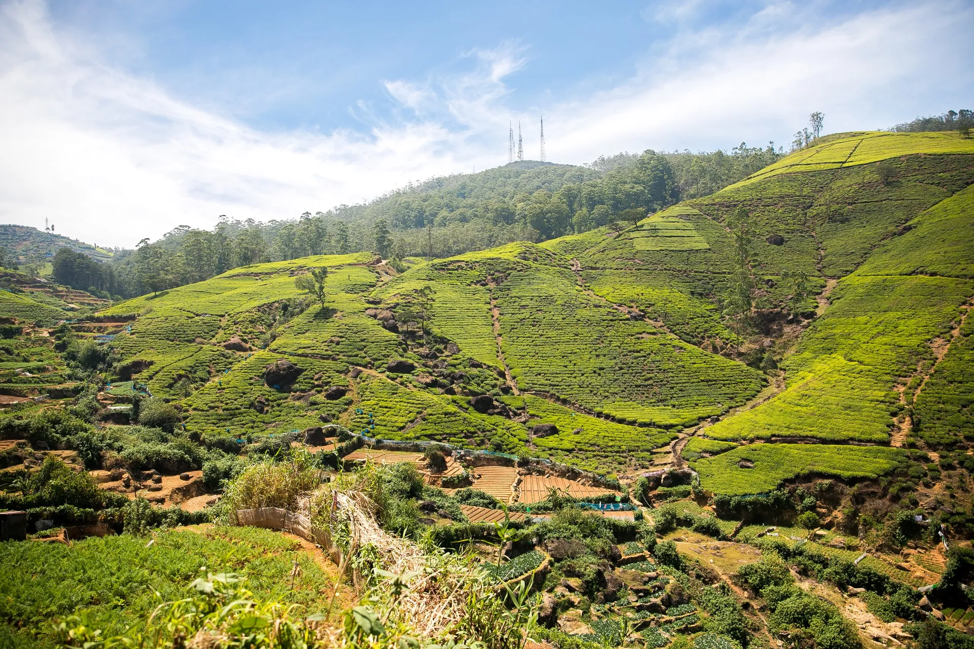 Nuwara Eliya, Places to visit in Nuwara Eliya