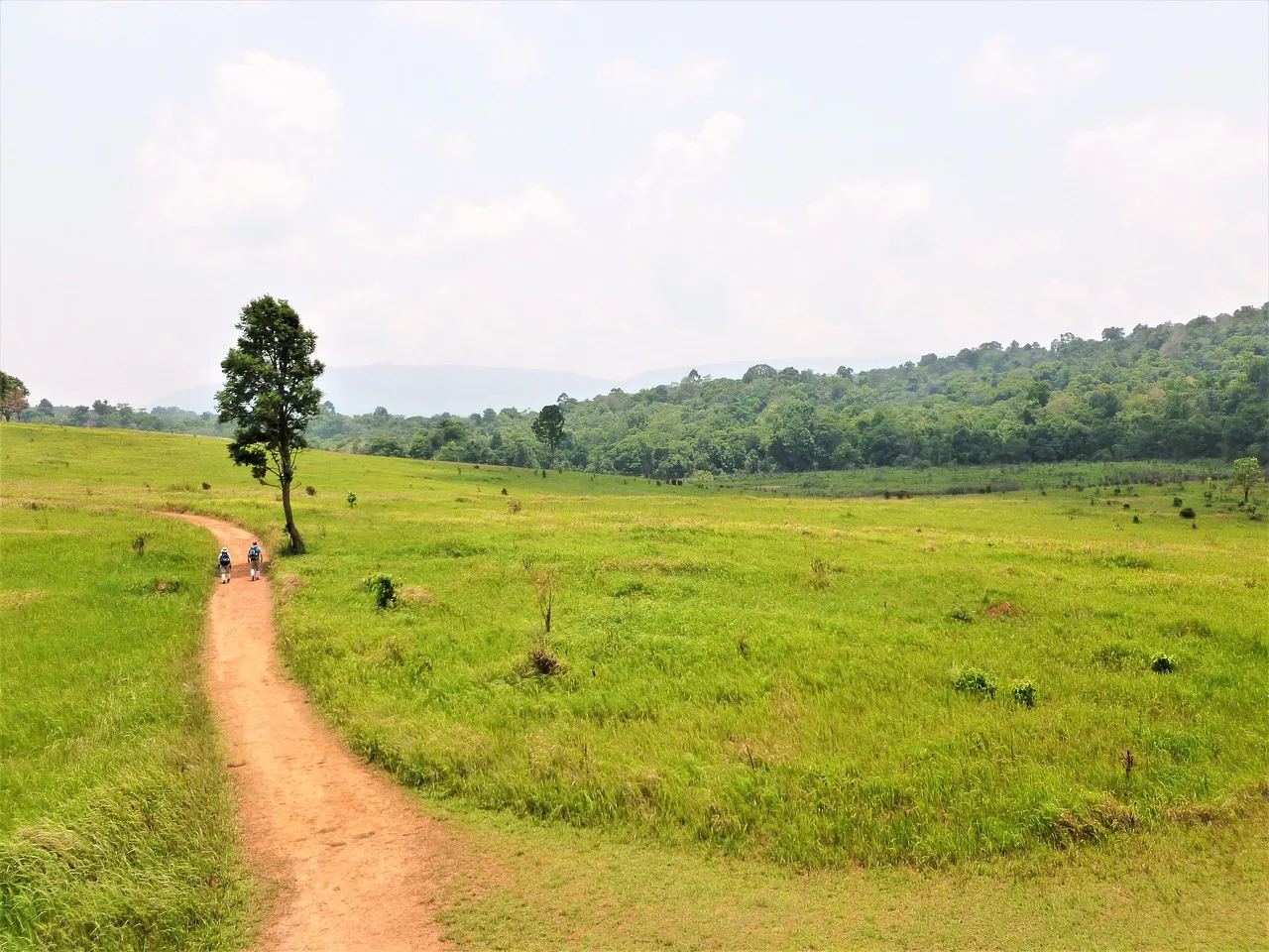 Khao Yai National Park