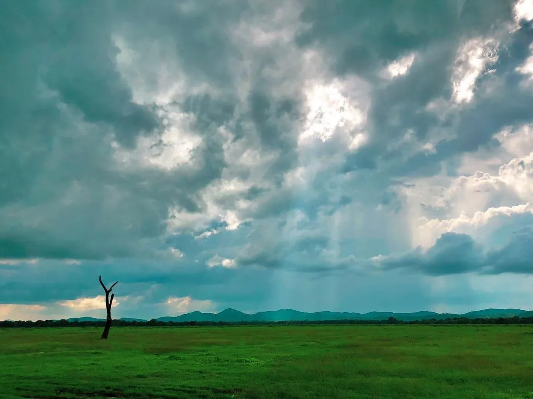 Kaudulla National Park Opening and Entry fee 