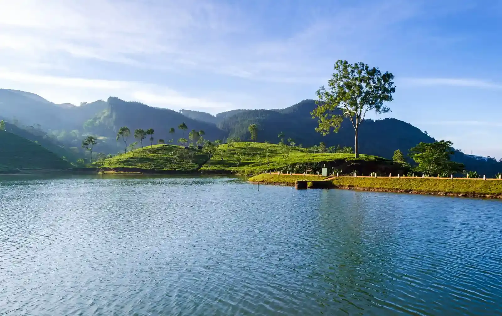 Things To Do in Matale, Sri Lanka