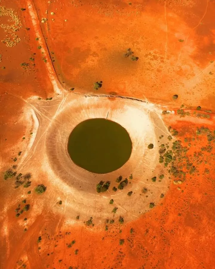 watering hole in Gibson desert