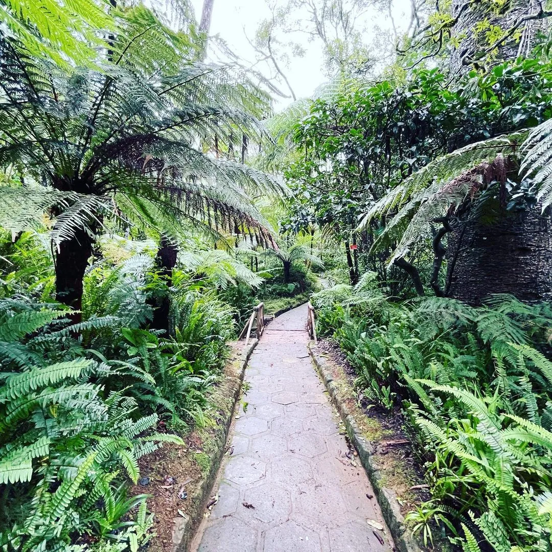 best time to visit hakgala botanical garden