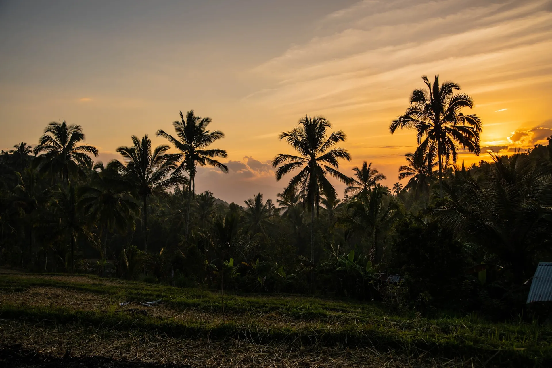 Munduk Bali, Indonesia