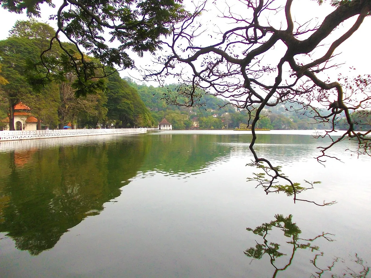Walk Around Kandy Lake