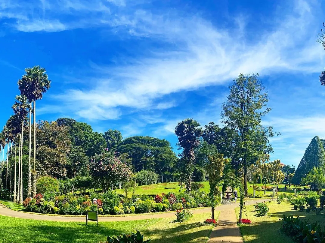 Royal Botnical Garden, Peradeniya