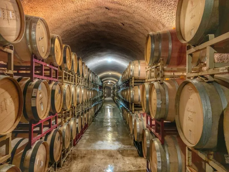 Visit a Winery in Portugal