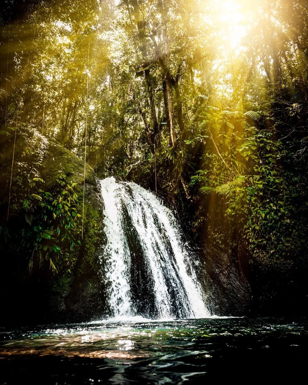 Weather at Sinharaja Rainforest