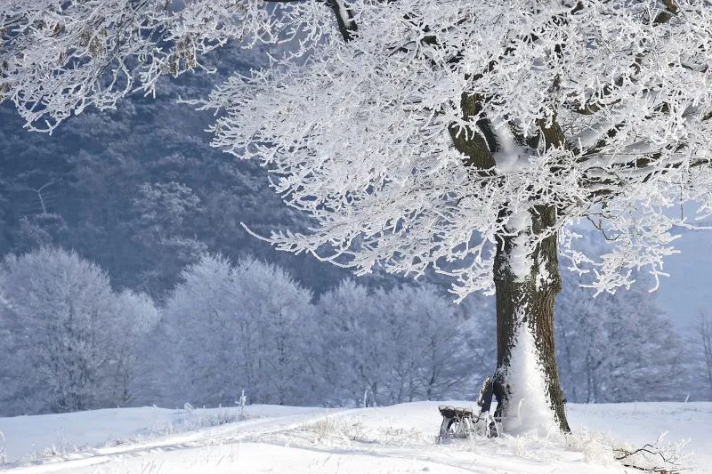 snow in australia